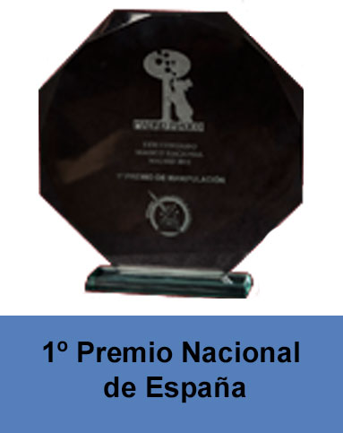 Primer Premio Nacional de España